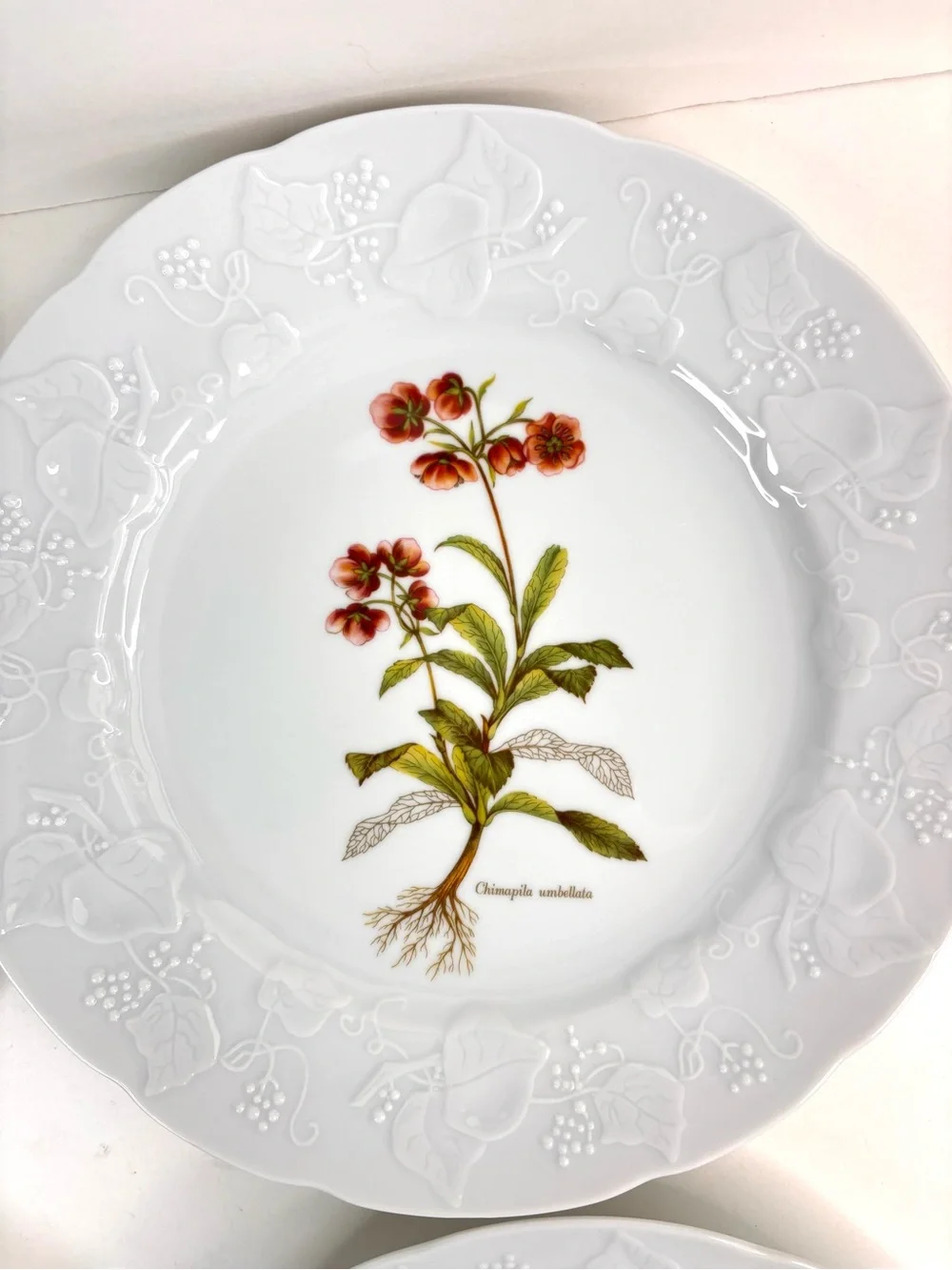 Dansk Ivy Embossed White Porcelain Flower Botanical Luncheon Plates France Set 4